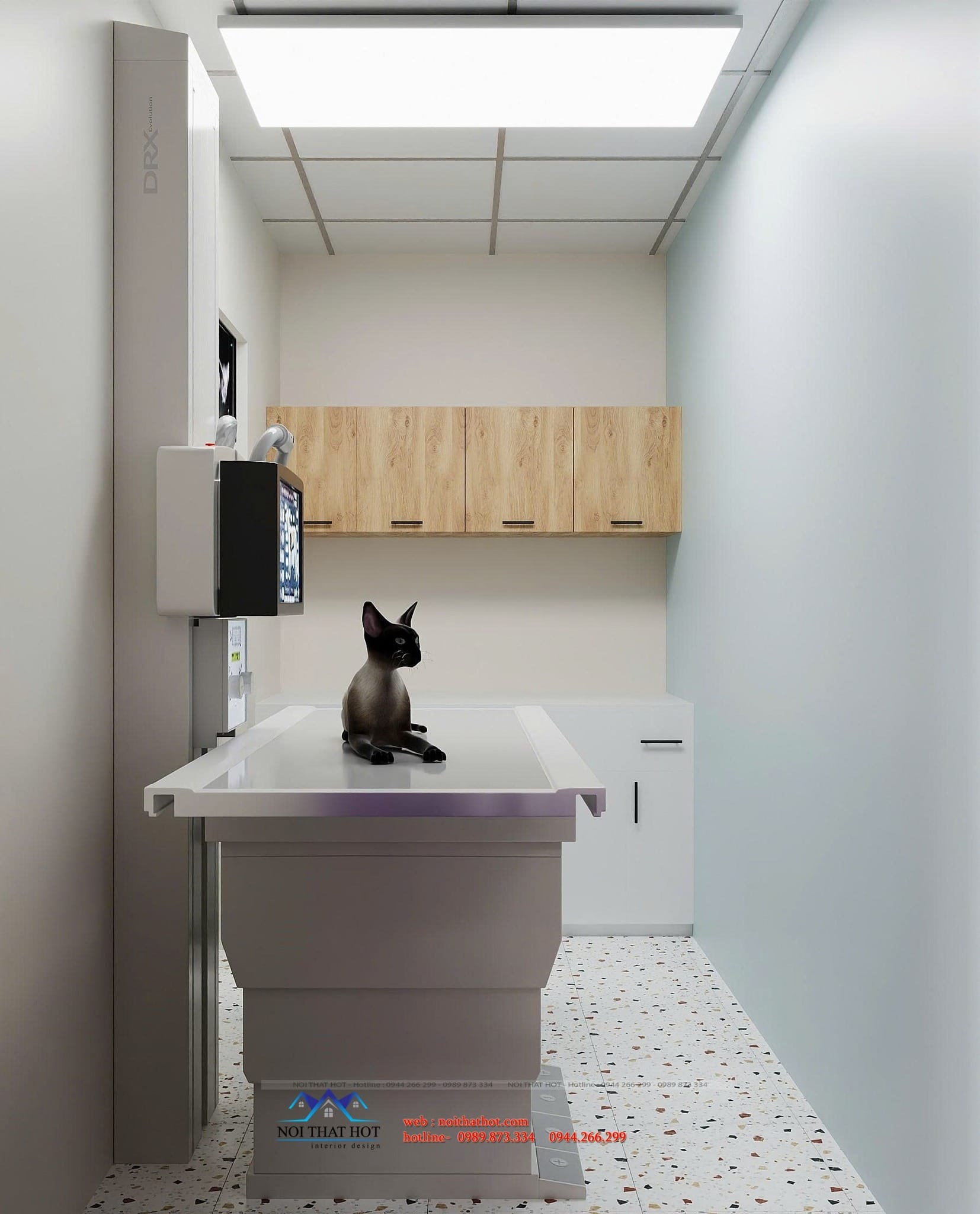 Nội thất phòng khám mèo