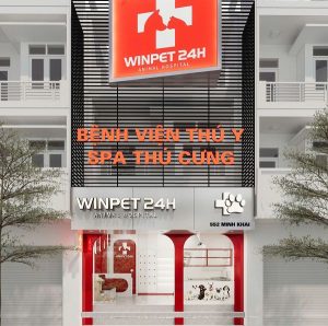 Thiết kế bệnh viện thú y & Spa thú cưng